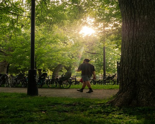 Man walking in a green city park after working hours